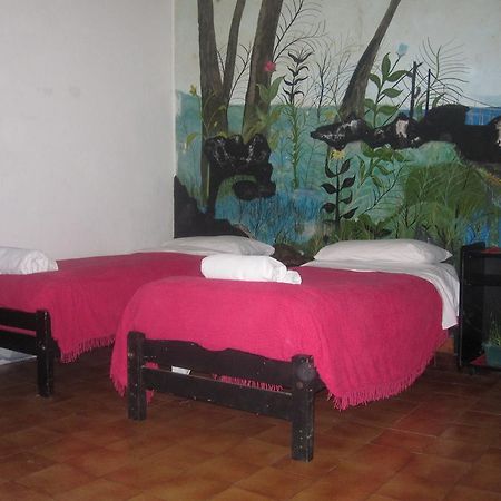 Hotel Minerva Buenos Aires Værelse billede